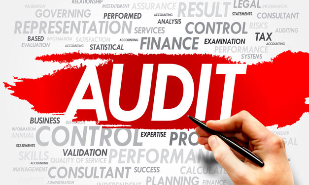 Should You Update Your Audit And Oversight Protocols?
