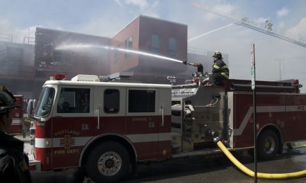 New York Case: Discretionary Acts of a Fire Department are Protected by Governmental Immunity